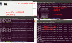 【实战】基于TensorRT加速YOLO系列以及其他加速算法实战与对比