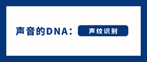 声音的DNA：声纹识别